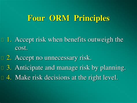 4 principles of orm.